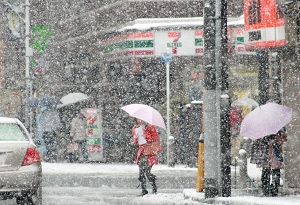 A rare snowy day in Tokyo