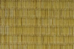 Enlarged photo of Surface of Tatami mat