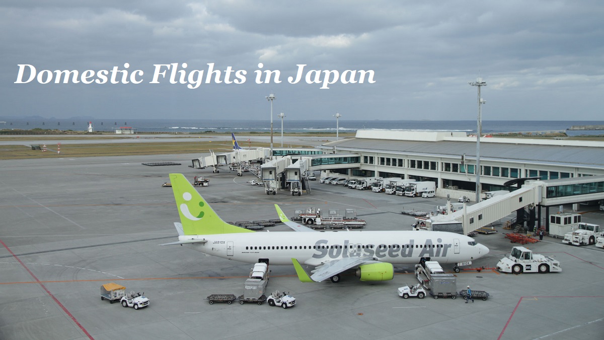 Domestic Flights in Japan