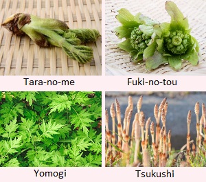 Tara-no-me, Fuki-no-tou, Yomogi, Tsukushi