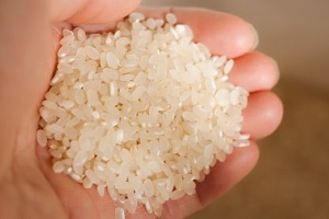 Raw polished rice