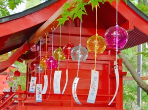 Furin