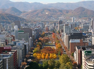 Scenery from Sapporo TV Tower in autumn