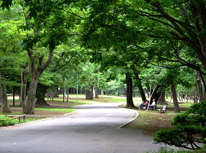 Maruyama Park