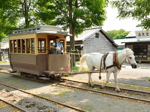 A horsecar