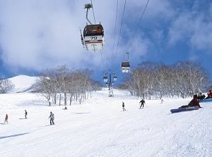 Ski slope of Niseko