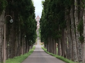 Road to Trappist Monastery