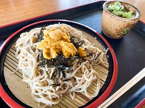 Soba noodle with sea urchin