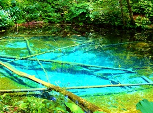Water of Kaminoko Pond