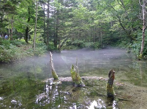 A river around Kaminoko Pond
