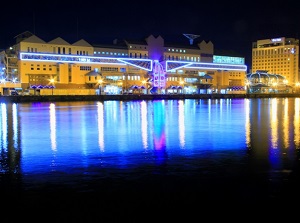 Fisherman's Wharf MOO at night