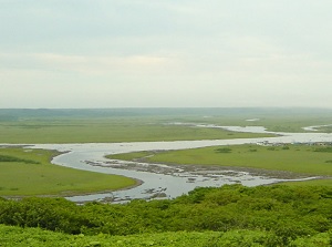 Kiritappu Wetland