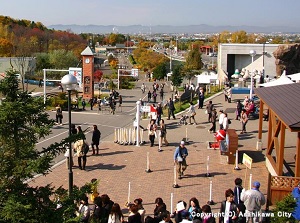 Asahiyama Zoo