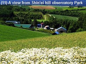 Shin'ei hill observatory Park