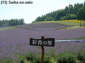 Saika-no-sato