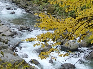 Ten-ninkyo gorge