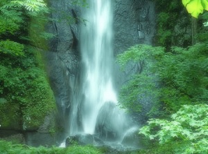 Shiraginu waterfall in Oirase stream