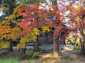 Motsuji in autumn