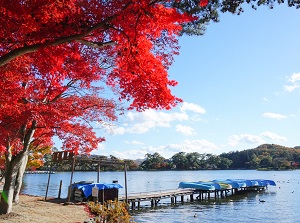 Nanko Park in autumn