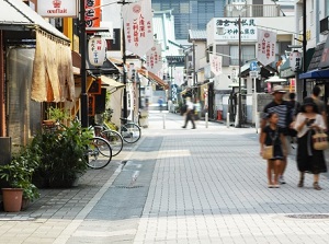 Ninjo-Fukagawa-Goriyaku Street
