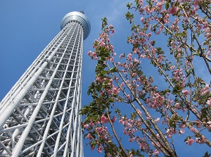 Tokyo Skytree