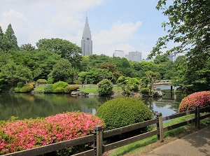 Garden of Shinjuku Gyoen