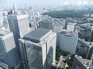 View to Shinjuku Gyoen from a high building