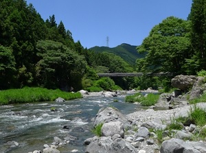 Mitake gorge in early summer