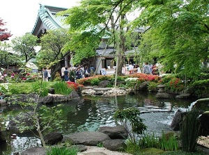 Japanese garden in Hase-dera