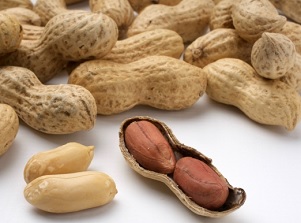 Peanuts of Chiba