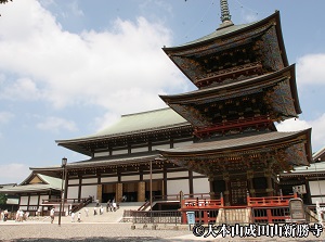 Main hall and Three-story pagoda of Naritasan Shinshoji