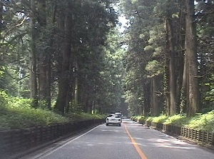 Cedar Avenue along national road