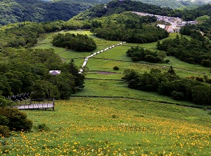 Kisuge-daira