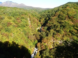 Kirifuri Falls