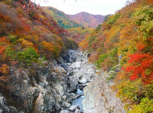 Ryuokyo in autumn