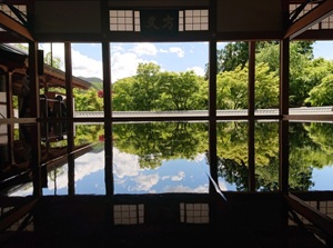 Yukamomiji in spring
