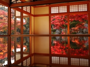 Yukamomiji in autumn
