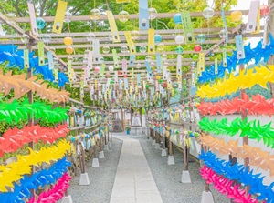 Furin Matsuri in summer