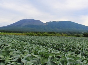 Mount Asama and the field of cabbage