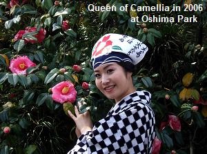 Queen of Camellia in 2006 at Oshima Park