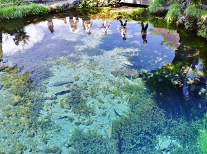 A pond in Oshino-hakkai