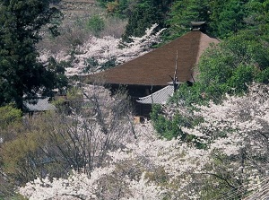 Daizenji temple in spring