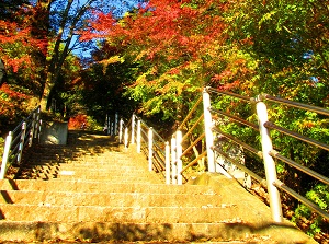 Stairs to Arakurayama Sengen Park