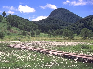 Marshland in Shiga highland