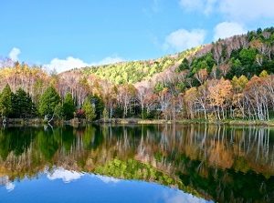 Kidoike in Shiga highland