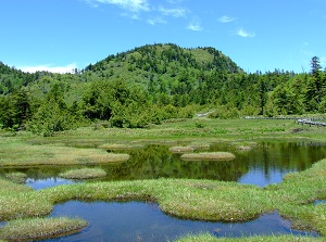 Shijuhachi-ike marsh in Shiga highland