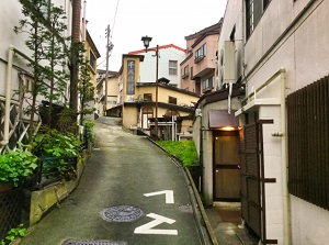 Nozawa Onsen town