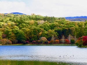 Lake Tateshina