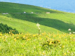 Kurumayama highland and Venus Line