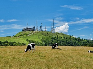 Ougatou in Utsukushigahara